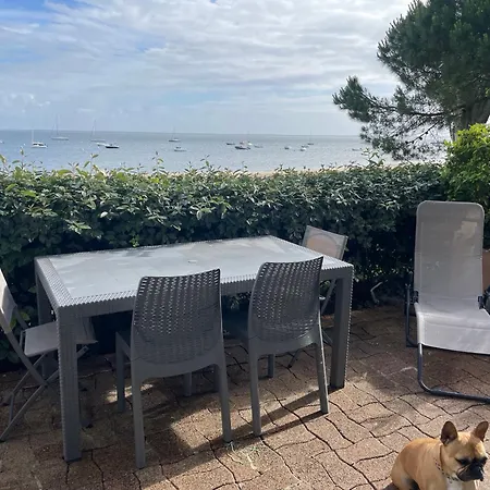 Vue Sur Le Bassin Appartement Arcachon